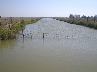Perfectly Positioned Irrigation Land Picture