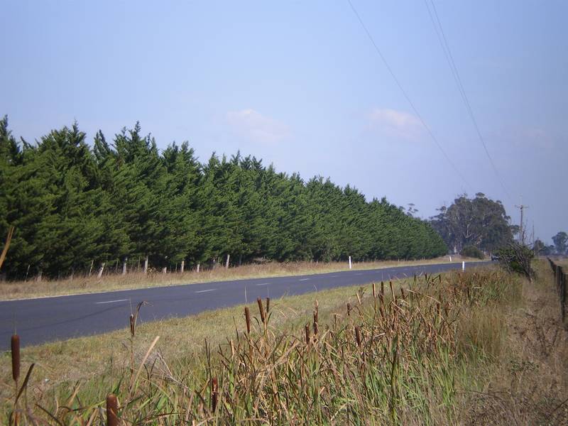 Perfectly Positioned Irrigation Land Picture 2