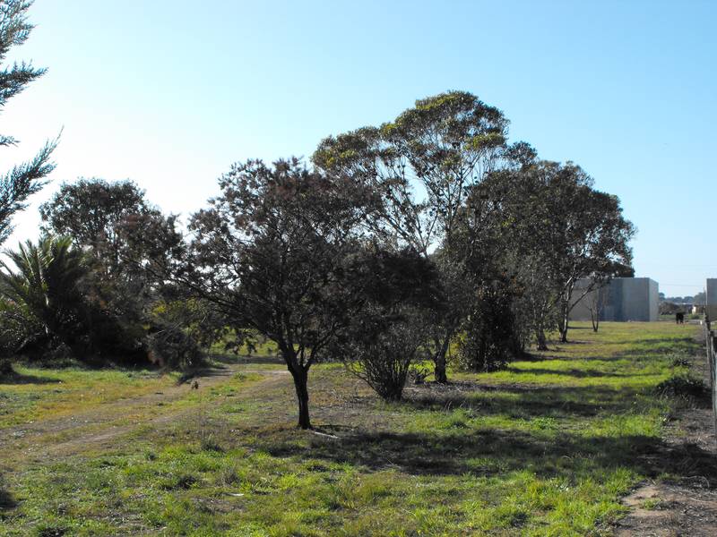 Well Established Building Block Picture 2