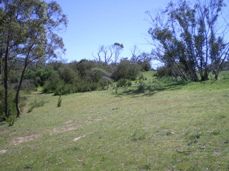 Own your own mountain! Picture 3