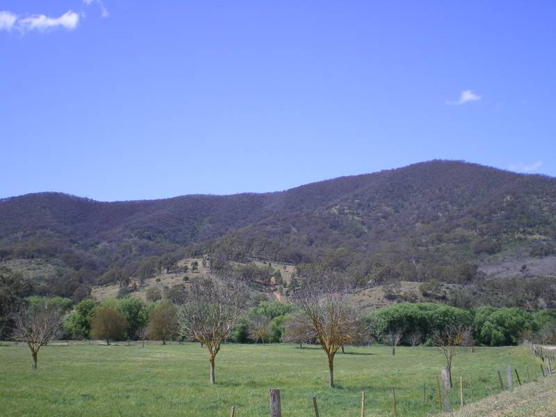 Own your own mountain! Picture 1