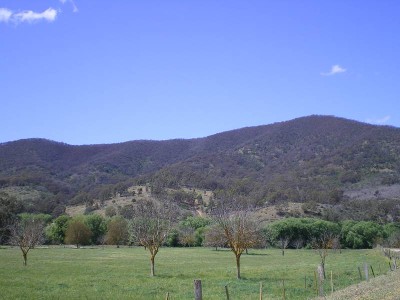 Own your own mountain! Picture