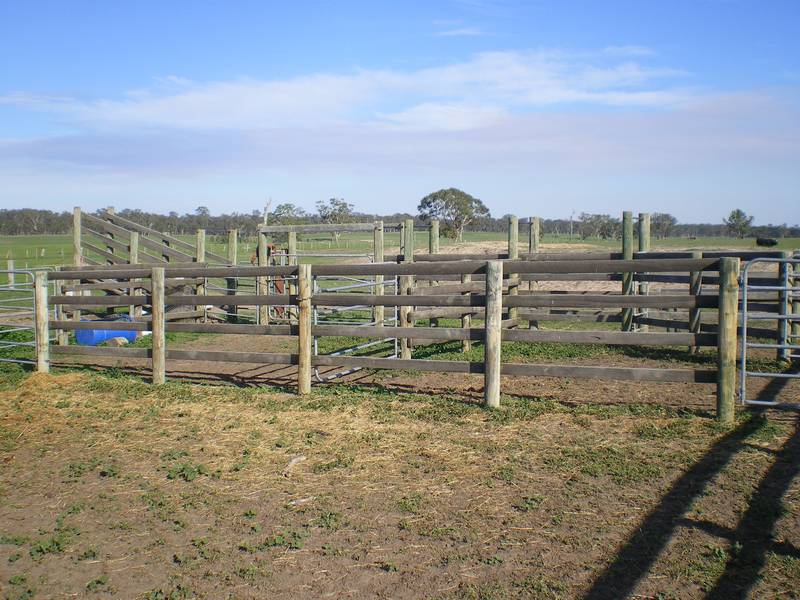 130 acres of prime grazing country! Picture 3