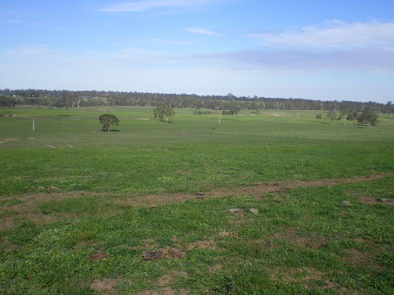 130 acres of prime grazing country! Picture 1
