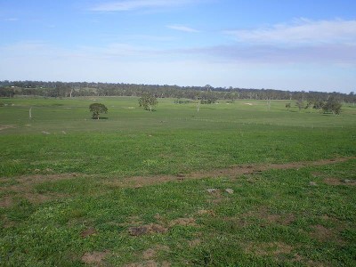130 acres of prime grazing country! Picture