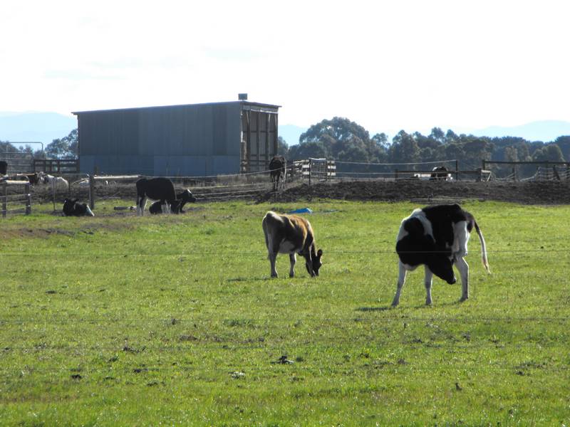 Land + Water = Opportunity!! Picture 1