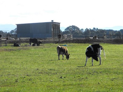 Land + Water = Opportunity!! Picture Land + Water = Opportunity!! Picture