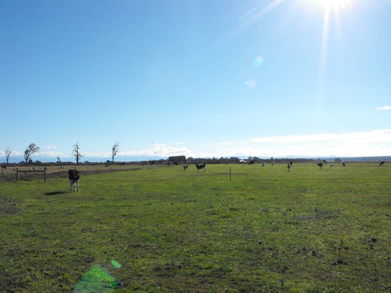 Land + Water = Opportunity!! Picture 2