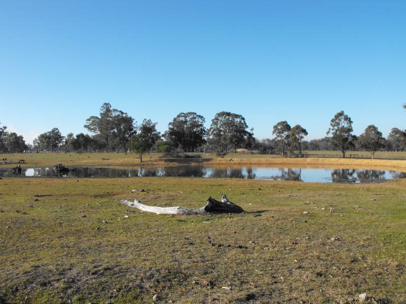 Spectacular Mountain Views Picture 3