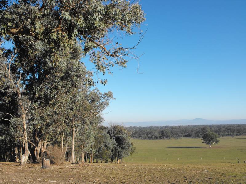 Spectacular Mountain Views Picture 2