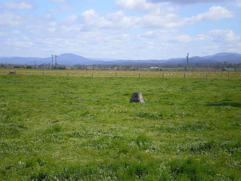 New sub division at Briagolong Picture 2