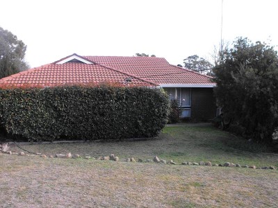 Three bedroom home plus Bungalow! Picture