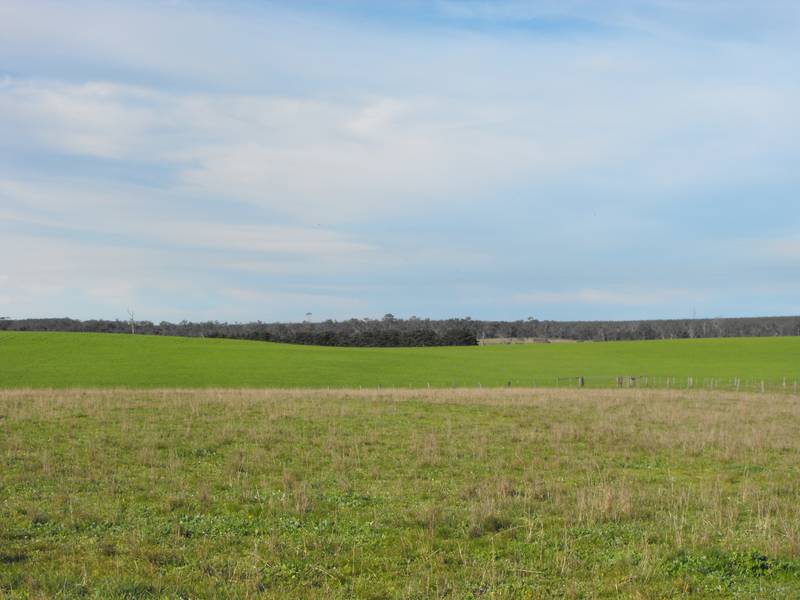 Quiet Rural Living Picture 3