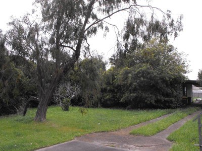 Development Site on Main Highway Picture