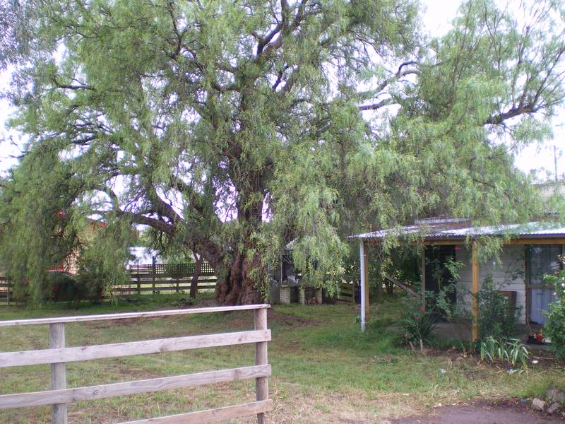 Renovators Delight Picture 1