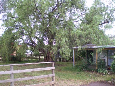 Renovators Delight Picture Renovators Delight Picture