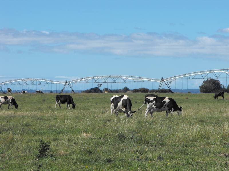 Large Scale Irrigation Opportunity Picture 1