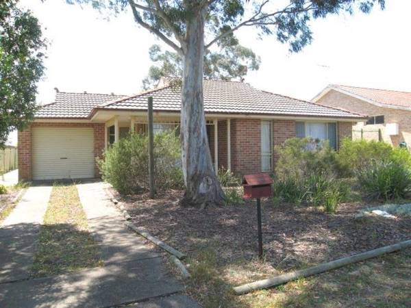 A Little Cracker Picture 1