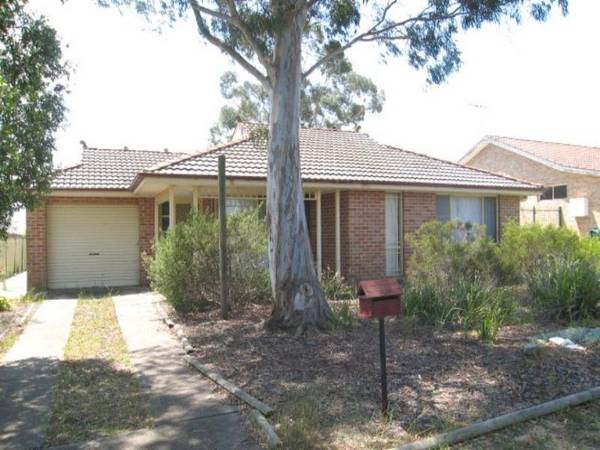 A Little Cracker Picture 2