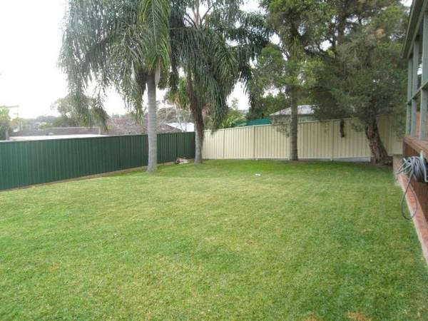 SAFE HOUSE Picture SAFE HOUSE Picture