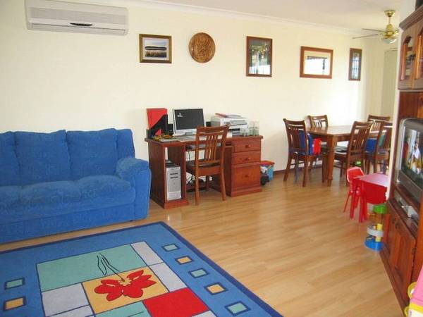 Summer Fun Starts Here! Picture