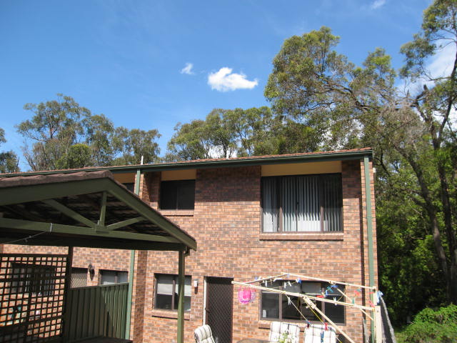 What a Ripper! Picture 1