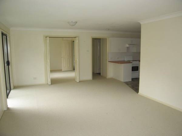 Shiny & New! Picture