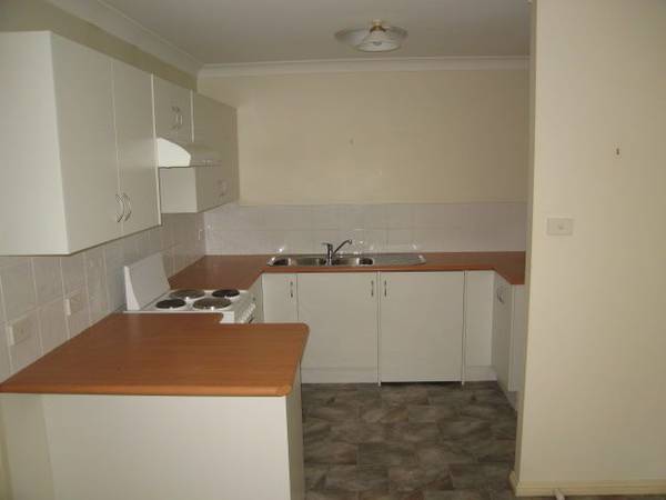 Shiny & New! Picture