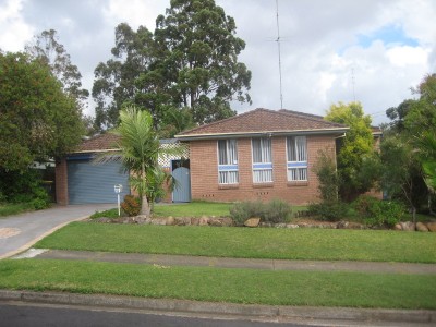 The Perfect Starter Picture