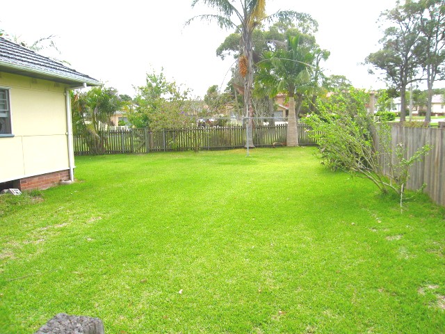 Cheap as Chips! Picture 2