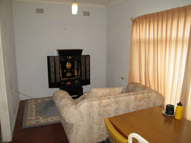 Great Starter! Picture 3