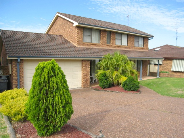 Look Here!! Picture 1