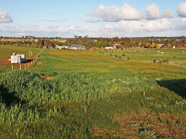 ACREAGE IN TEESDALE WITH RURAL VIEWS Picture 2
