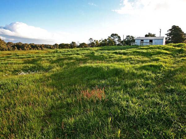ACREAGE IN TEESDALE WITH RURAL VIEWS Picture 3