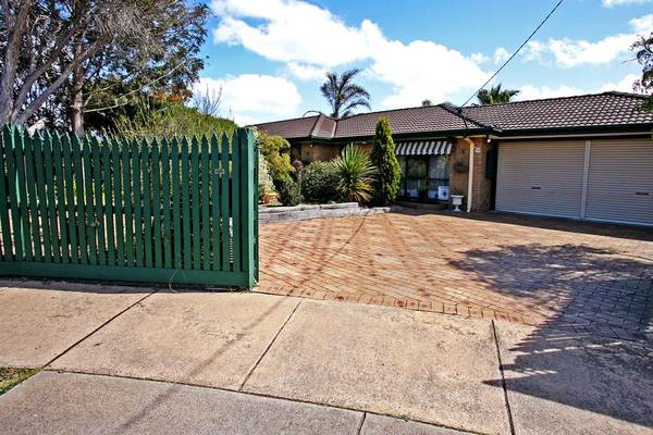 Entertainers Delight! Picture