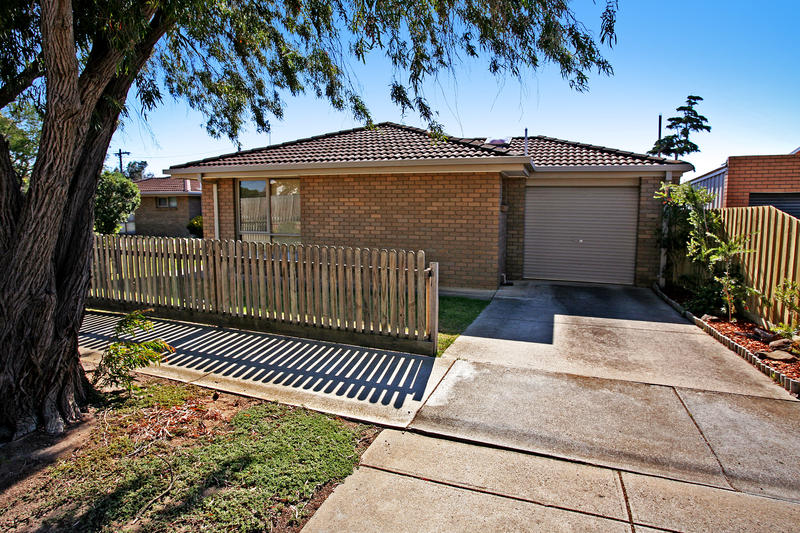 First to see will buy! Picture 2