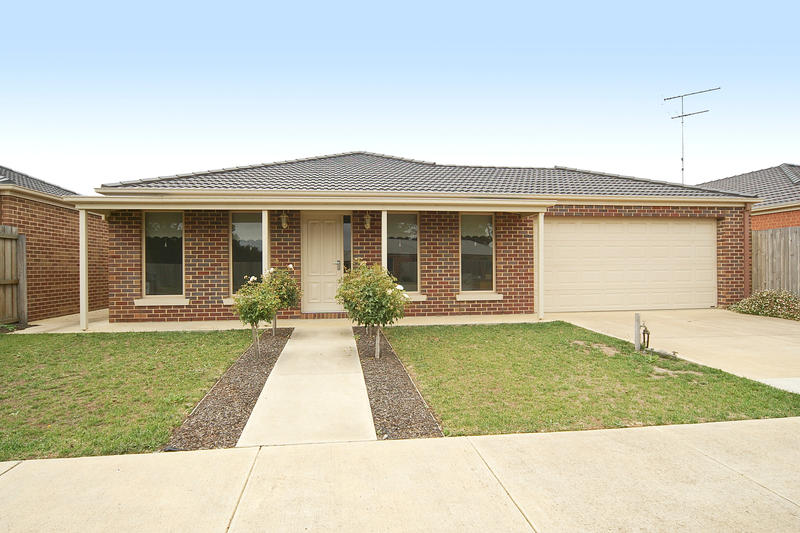 Stylish & Value Packed! Picture 1