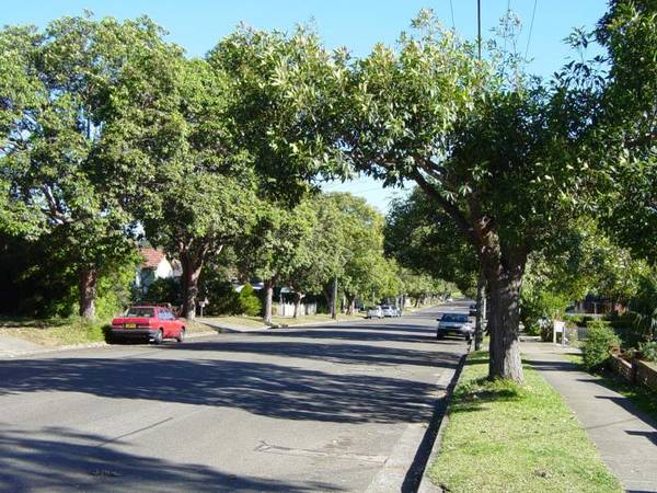 Land Land Land Walk
to station ONE BLOCK SOLD - ONE LEFT Picture