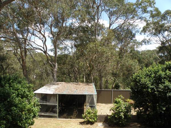 STUNNING BUSH VIEWS!!! Picture