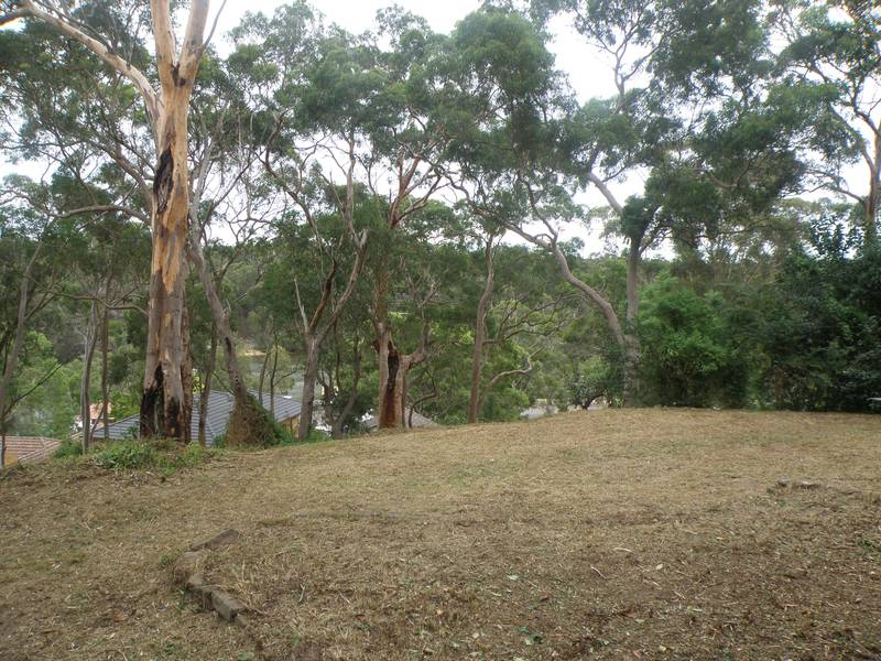 LIFETIME OPPORTUNITY Picture 2