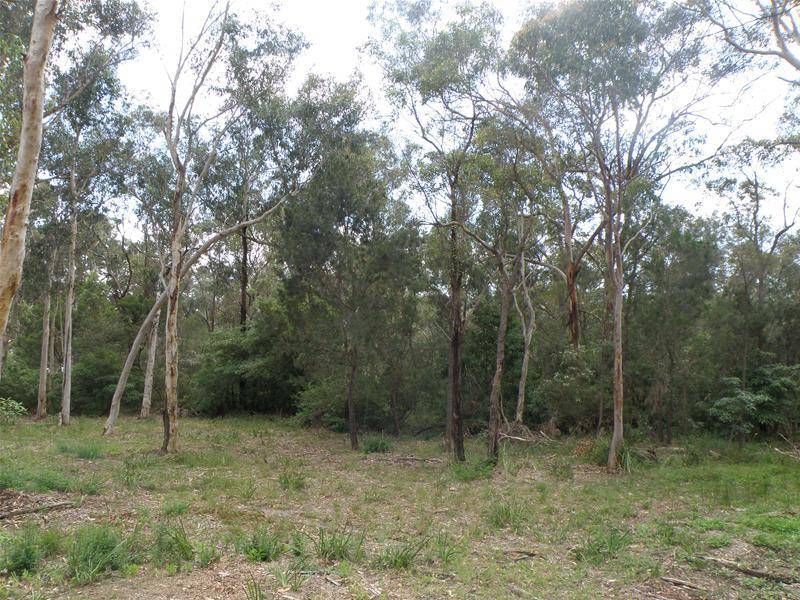 HUGE TOWNHOUSE BACKING ONTO NATIONAL PARK IN HIGHLY SOUGHT AFTER PICNIC POINT Picture 2