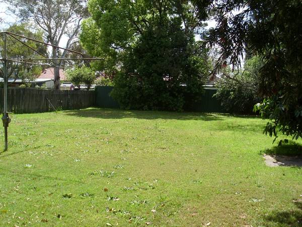 Endless Possibilities! Picture 3