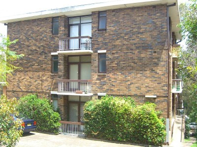 A Winner for the Beginner! Picture