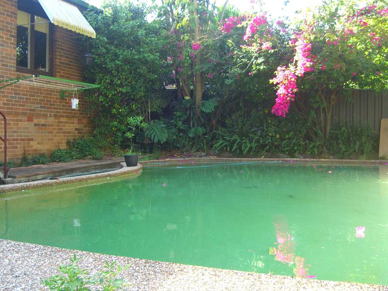 Furnished Three Bedroom House Picture 2