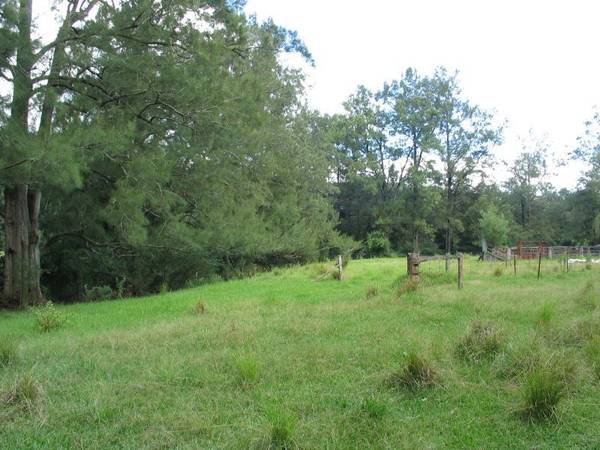 Create your Dream Lifestyle Picture 3