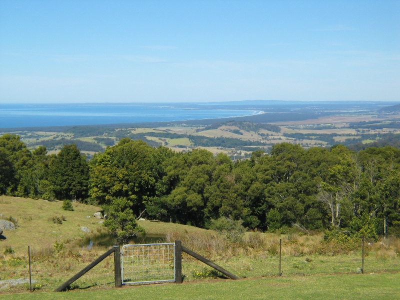 'Elouera' A beautiful place by the sea Picture 2