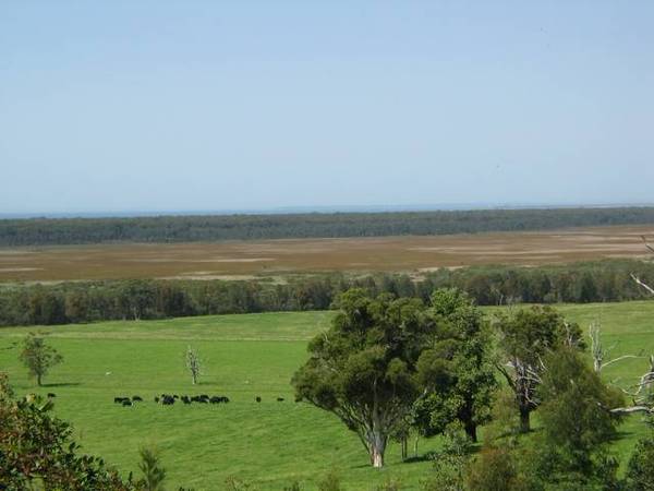 Berry Rental Picture 3