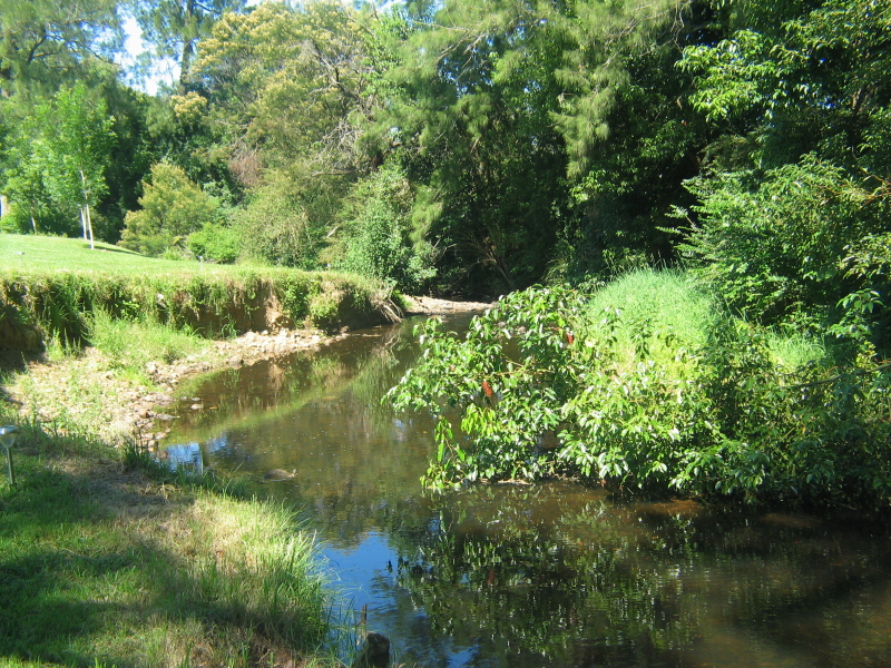 Serendipity Cottage One Only Picture 1