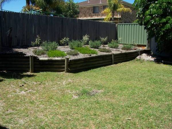 Easy Living Picture 3