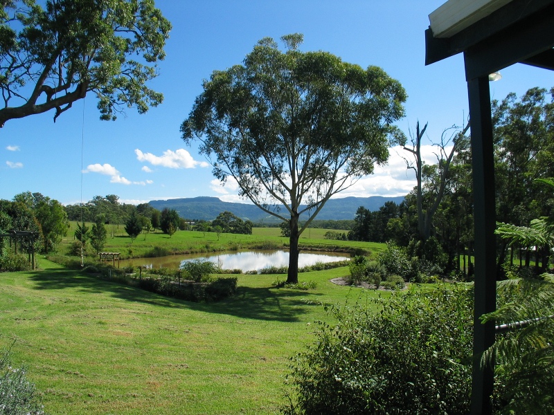 Fabulous Family Acreage Picture 3